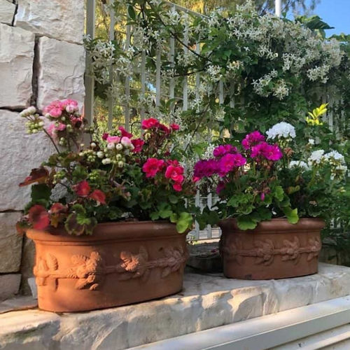 Terracotta planter - con frutta - cestenoli srl - oval / handmade / traditional