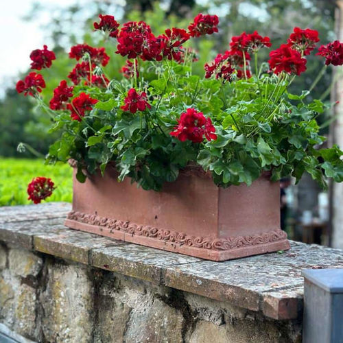 Terracotta planter - con Decorazione Greca - cestenoli srl - rectangular / handmade / traditional