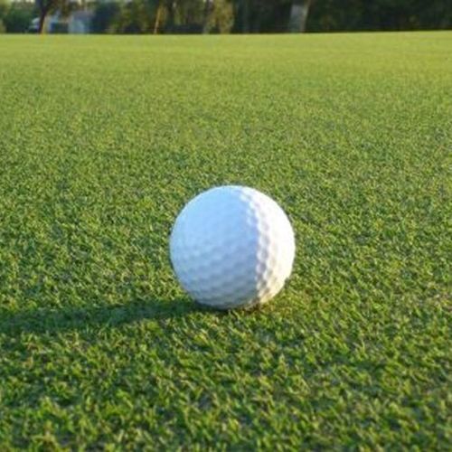 Natural grass - BERMUDA ULTRADWARF SUNDAY - Novogreen - roll / for sports fields / for sports activities