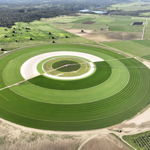 Natural grass - MEZCLA VERD - Novogreen - roll / for soccer fields / for garden