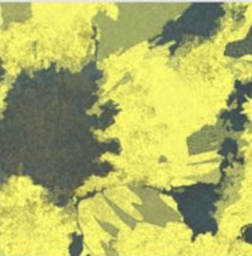Loop pile carpet - GIRASOL - Casino Carpets S.L. - nylon / commercial / floral