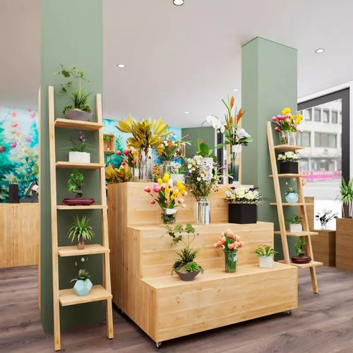 Plant display rack - PR04326F - Tradis Design - solid wood / one-sided / 3-shelf