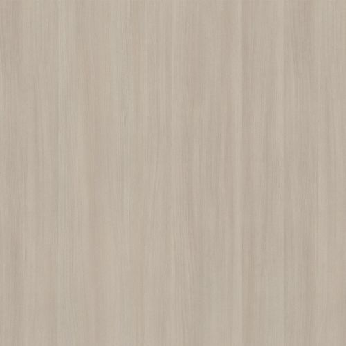 Wood look decorative laminate - BOULEAU ARGENTÉ - Polyrey - matte / brushed / embossed