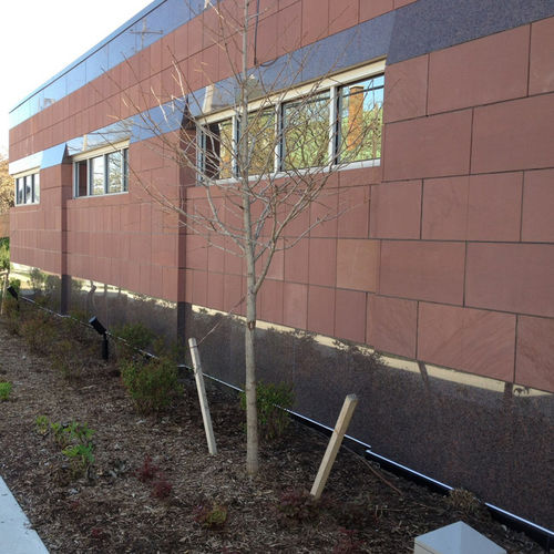 Panel cladding - COFFEE - Stone panels - sandstone / polished / large format