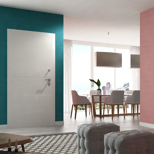 Entry door - DUAL - Otcdoors - metal / swing / contemporary