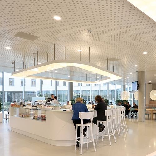 Metal suspended ceiling - Luxalon® Planks - Hunter Douglas Architectural - tile / panel / for office