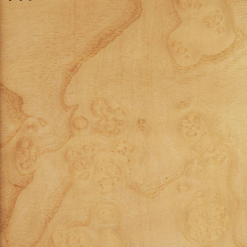 Wooden veneer - ASH BURL - Decospan - for furniture / panel / for interior