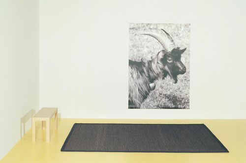 Contemporary rug - CAPRA - Ruckstuhl AG - striped / plain / sisal