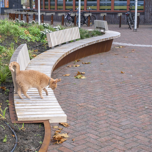Contemporary public bench - SOLID ITALIC ISLES - Streetlife - wooden / recycled plastic / with backrest
