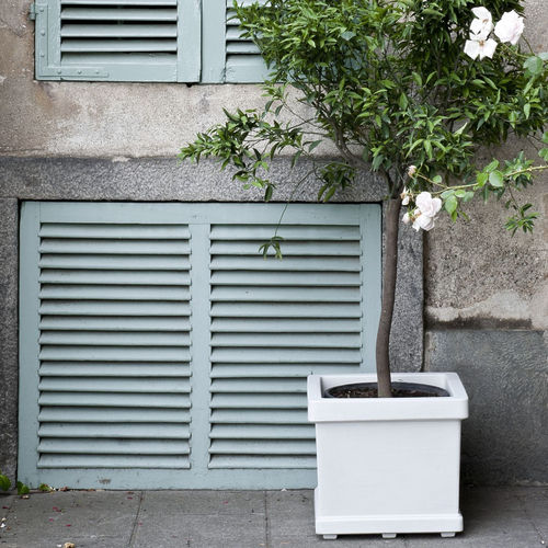 Low-density polyethylene (LDPE) plant pot - QUADRO LISCIO - SERRALUNGA - square / home / white