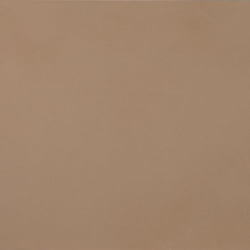 Porcelain stoneware tile - R-EVOLUTION TERRA - Casalgrande Padana - polished / indoor / bathroom