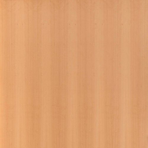 Wall-mounted paneling - BEECH - PARKLEX International - wood / laminate / textured