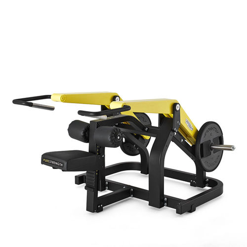 Seated dips weight training machine PURE TECHNOGYM indoor