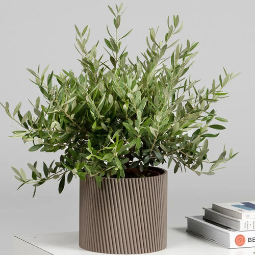 Plastic planter - BFRIENDS TILTED  - Bene GmbH - round / contemporary / commercial