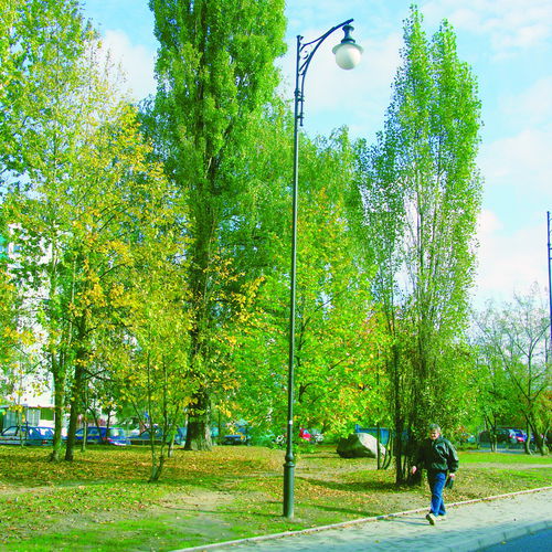 Urban lamp post - ST3X/268 - F.P.H. Art Metal Sp.J. - traditional / cast aluminum / steel