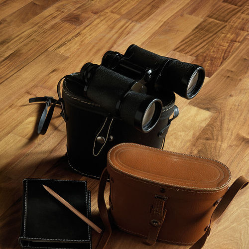 Solid parquet floor - PREMASS : OIL - ALI - oiled / glued / strip