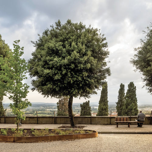 Edge with integrated bench - GRANDIFIORIERE - METALCO - garden / for landscaping / wooden
