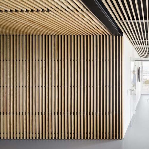 False ceiling acoustic panel - LINEA 2.4.5 - LAUDESCHER - fir / solid wood / oak