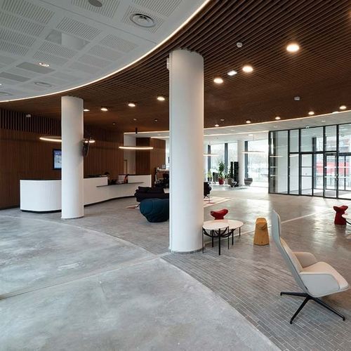 Acoustic wall panel - LINEA 2.6.10 - LAUDESCHER - solid wood / oak / pine