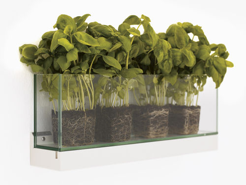 Glass plant pot - FRONT - KARL ANDERSSON - wall-mounted / rectangular