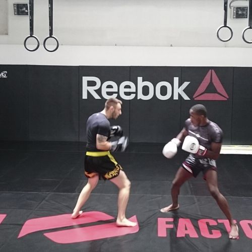 Wrestling mat - MMA series - Modugame - MG Sport