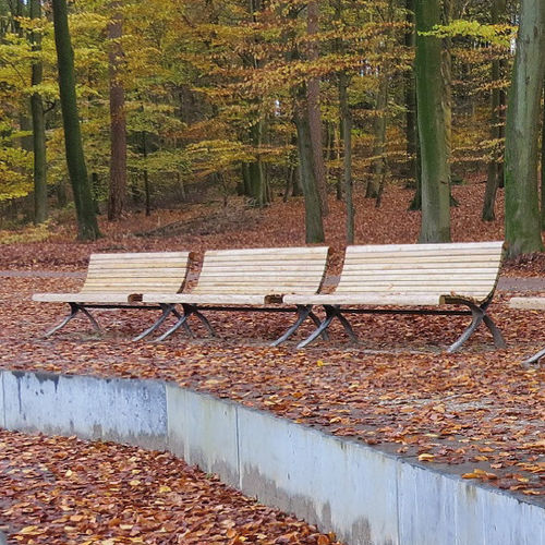 Traditional public bench - PALAZZO LIGHT - Euroform K. Winkler GmbH - hardwood / galvanised steel / with backrest