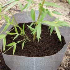 Polypropylene root barrier - ISOFILMA - Flexirub