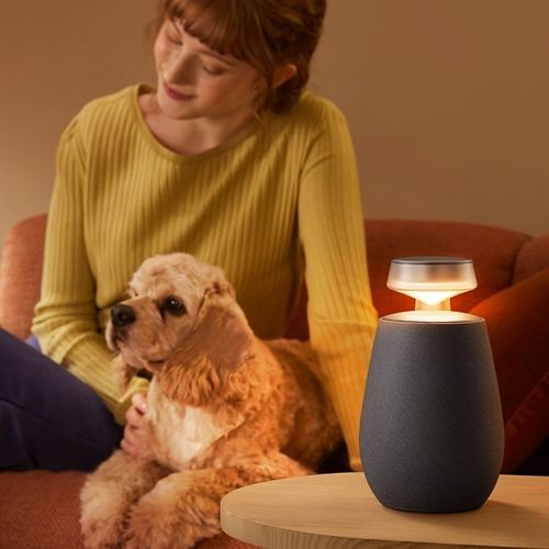 Multimedia speaker - XBOOM 360 XO2 - LG Electronics - Bluetooth / wireless / omnidirectional