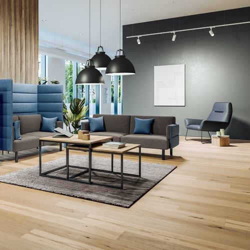 Contemporary sofa - CARPI - ASSMANN BÜROMÖBEL GMBH & CO. KG - fabric / synthetic leather / with armrests