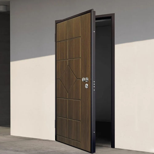Entry door - Paros - Bertolotto Porte - steel / swing / contemporary