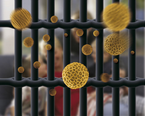 Sash screen - POLLTEC - LAKAL - for windows