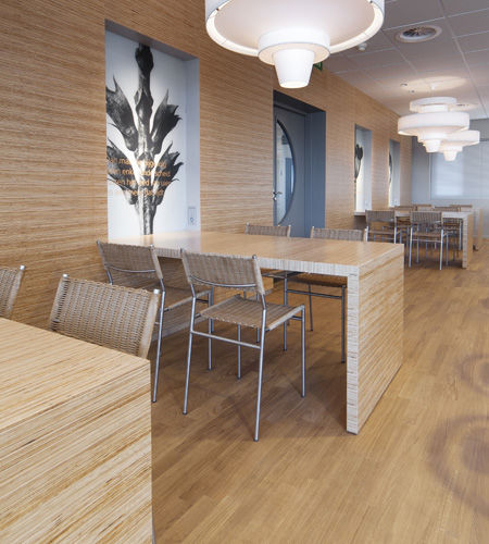 Construction plywood panel - TWO-SIDED  - Plexwood - for furniture