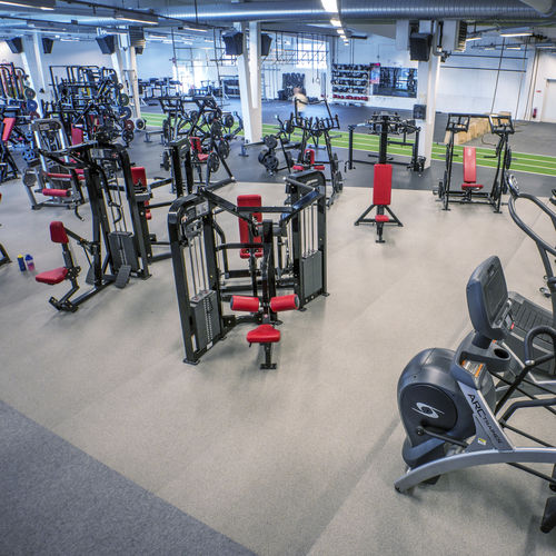 Indoor sports flooring - SPORTEC® purcolor - KRAIBURG Relastec GmbH & Co. KG - rubber / EPDM / athletics