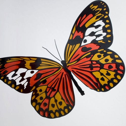 Wall-mounted decorative panel - PD019 PAPALLONA - Decustik - wood / MDF / textured