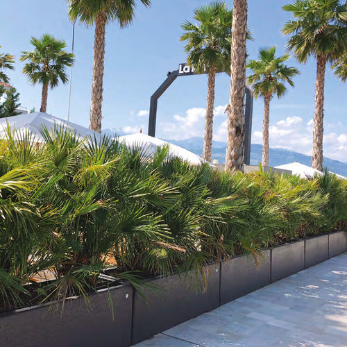 Engineered stone planter - LONG  - BELLITALIA - rectangular / contemporary / for public space