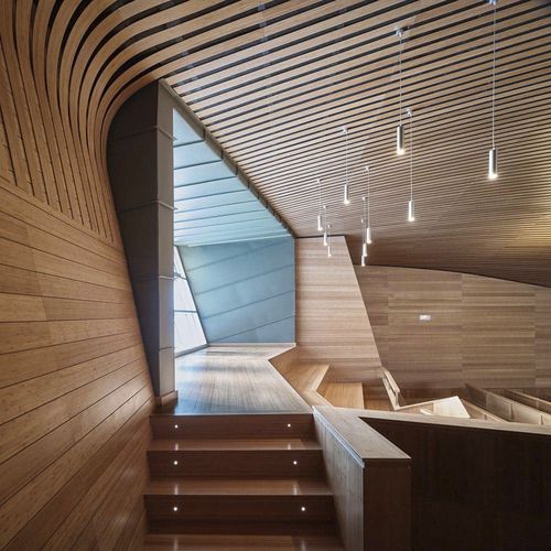 Construction wood panel - CV PLY5 - Grupo GUBIA - wall-mounted / for ceiling / bamboo