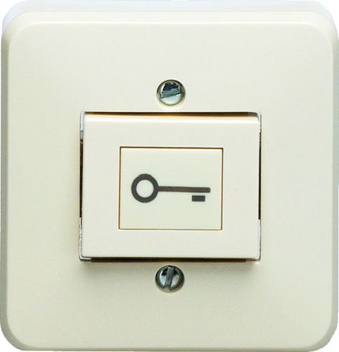 Home automation system switch - Jung 333AT-24 - Eff Eff - push-button / surface-mount / contemporary