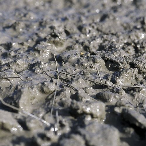 Self-consolidating concrete - AGILIA® MI MÉTAL - Lafarge concrete - fiber-reinforced / for home / for sub-paving