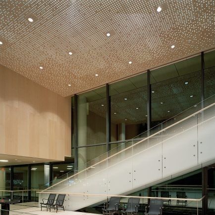 Ceiling acoustic panel - BESPOKE - Gustafs Scandinavia AB - for wall / wooden / gypsum