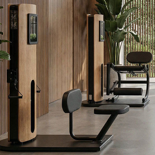Dips weight training machine - STUDIOLINE - WATERROWER FRANCE - abdominal crunch / back extension / leg curl