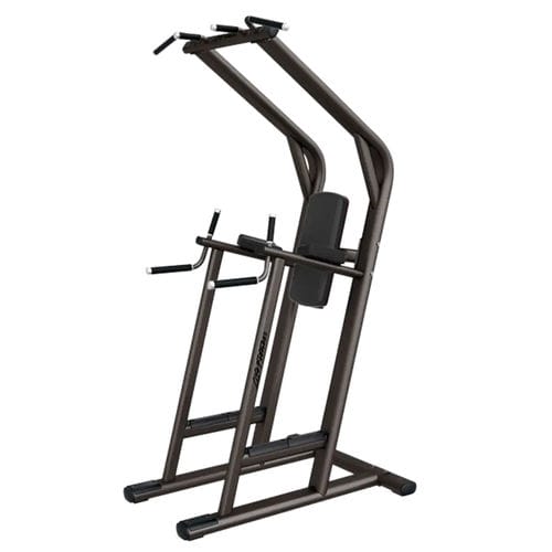 Dips weight training machine - LBR-LC - Life Fitness - leg raise / indoor / for gym