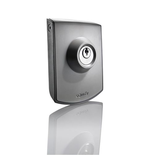 Gate home automation system - 2400597 - Somfy Architecture - for security / indoor / home