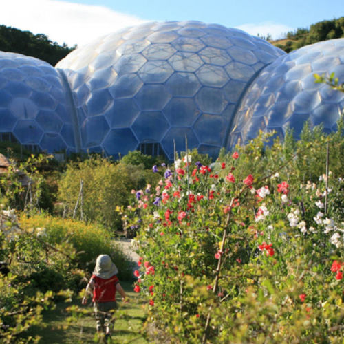 Texlon® ETFE textile membrane - EDEN PROJECT - Vector Foiltec - for facade / roof / translucent