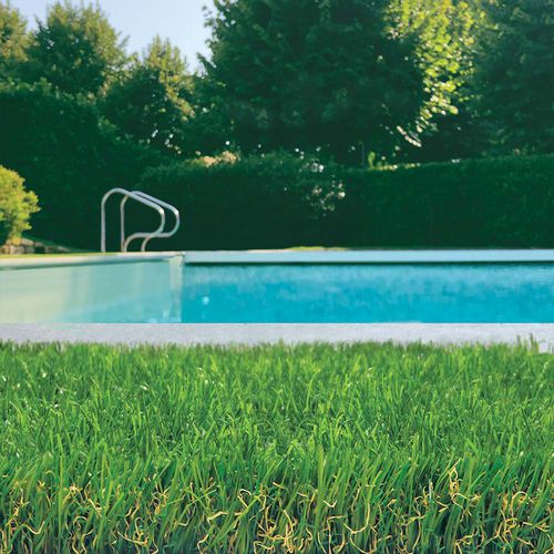 Synthetic grass - SCOTTISH EXTRA - Tenax UK Ltd  - roll / for garden / drainage