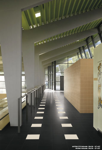 Indoor tile - HI-TECH : COLOURSTYLE - CIPA GRES SPA - floor / porcelain stoneware / plain