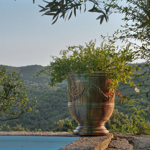 Clay plant pot - PRESTIGE - POTERIE LE CHÊNE VERT - round