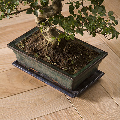 Engineered parquet floor - 303 B - CHENE DE L EST  - solid / oak / herringbone