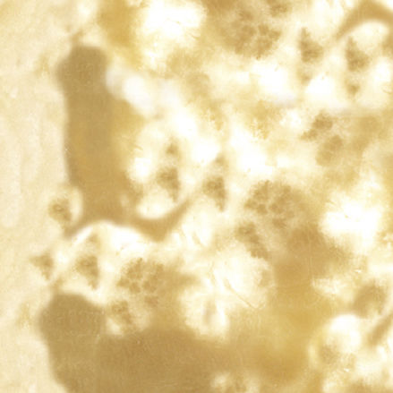 Onyx stone slab - ALABASTRO - PAYANINI SRL - for floor / cladding / wall-mounted