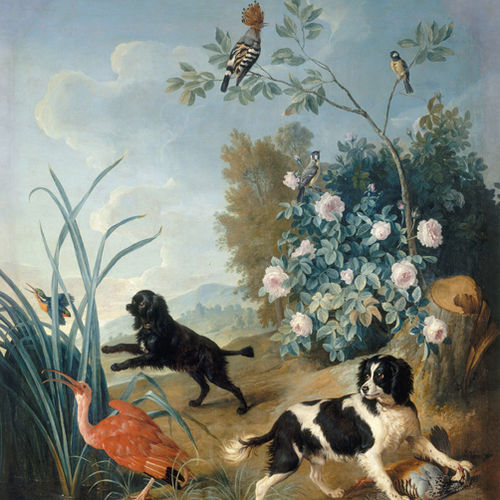 Contemporary wallpaper - DOGS&BIRDS 1/4 - Papiers de Paris - nature pattern / animal motif / wallpaper look