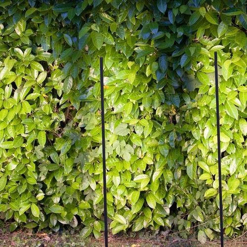 Garden bollard light - ACORUS - Inverlight Srl - contemporary / stainless steel / LED